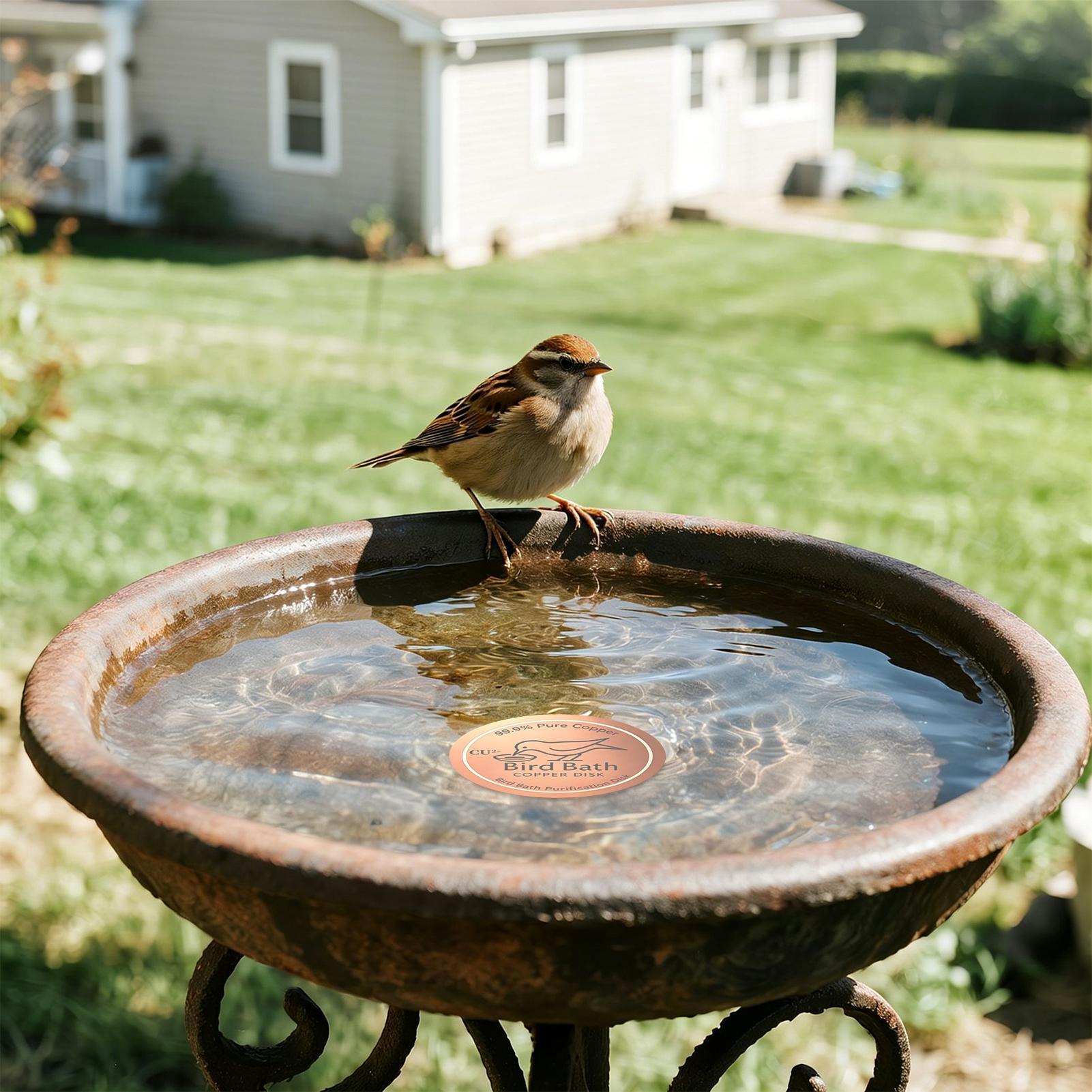 Farming & Agriculture Word Stacks - Disque en cuivre pour bain d'oiseaux,