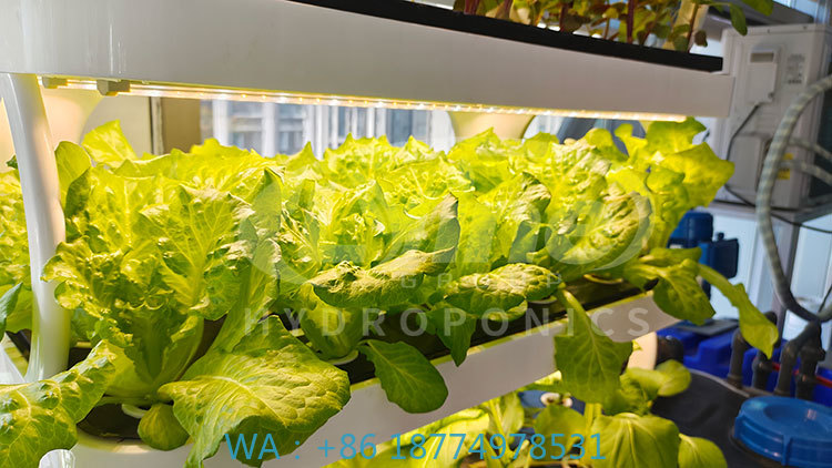 Agriculture Vertical Farming - c Machine agricole pour cultiver lactée