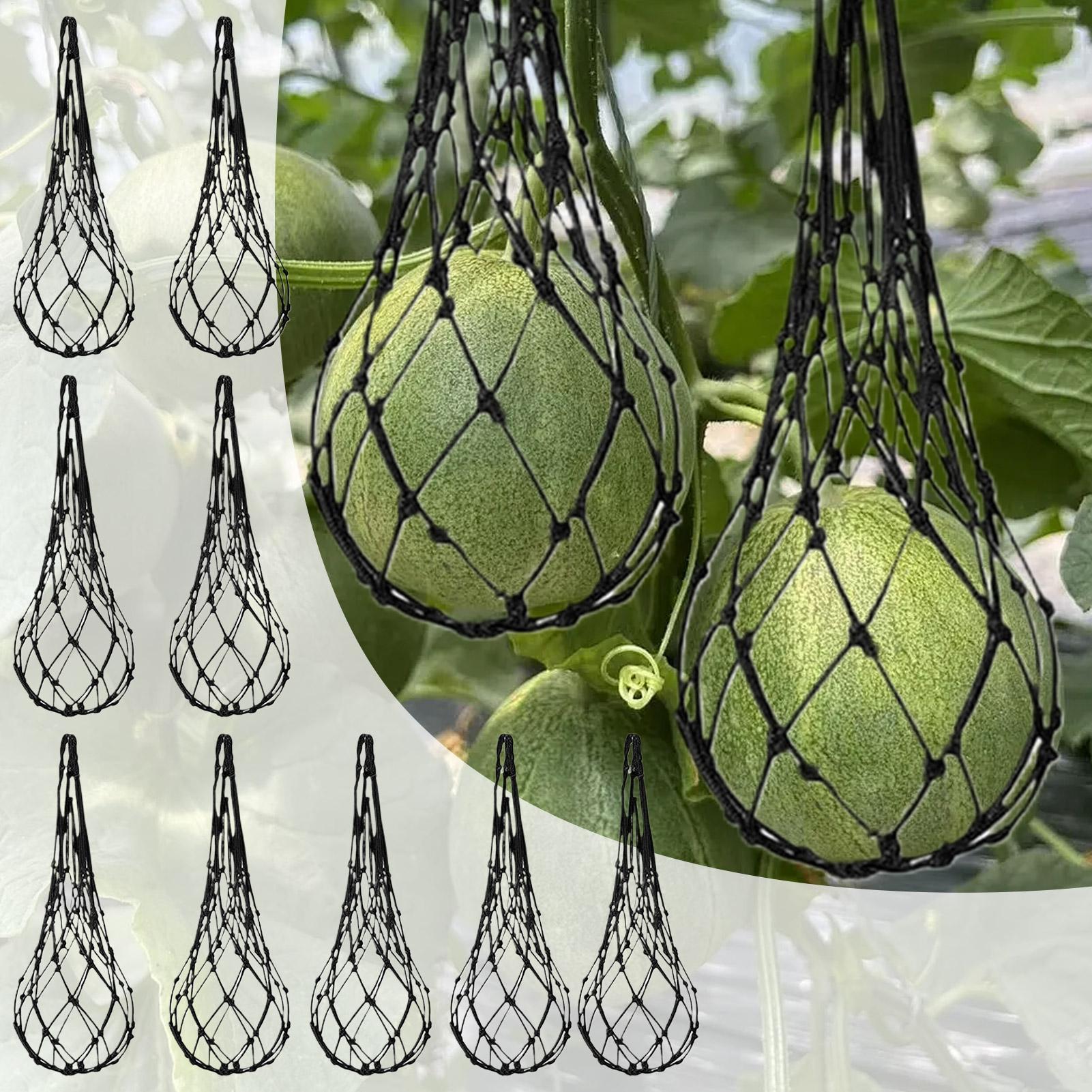 10 pièces de filets de protect - Agriculture Vertical Farming avis et prix