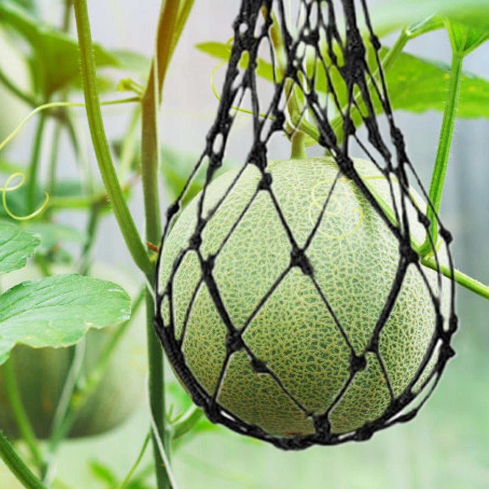 10 pièces de filets de protect - Agriculture Vertical Farming avis et prix
