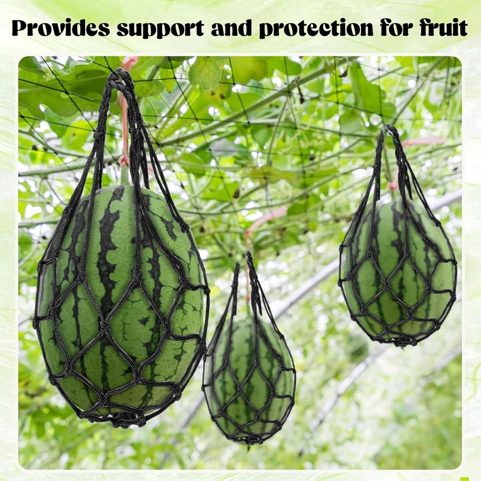 10 pièces de filets de protect - Agriculture Vertical Farming avis et prix