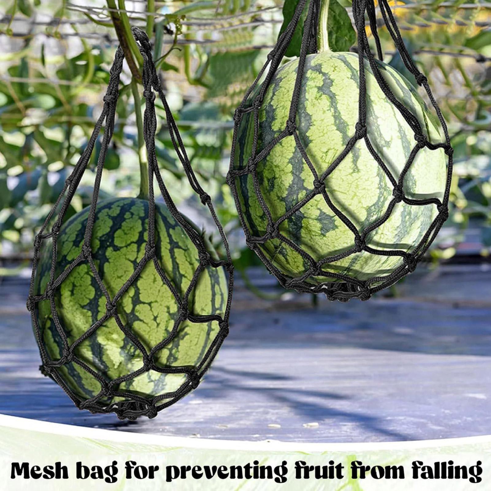 10 pièces de filets de protect - Agriculture Vertical Farming avis et prix