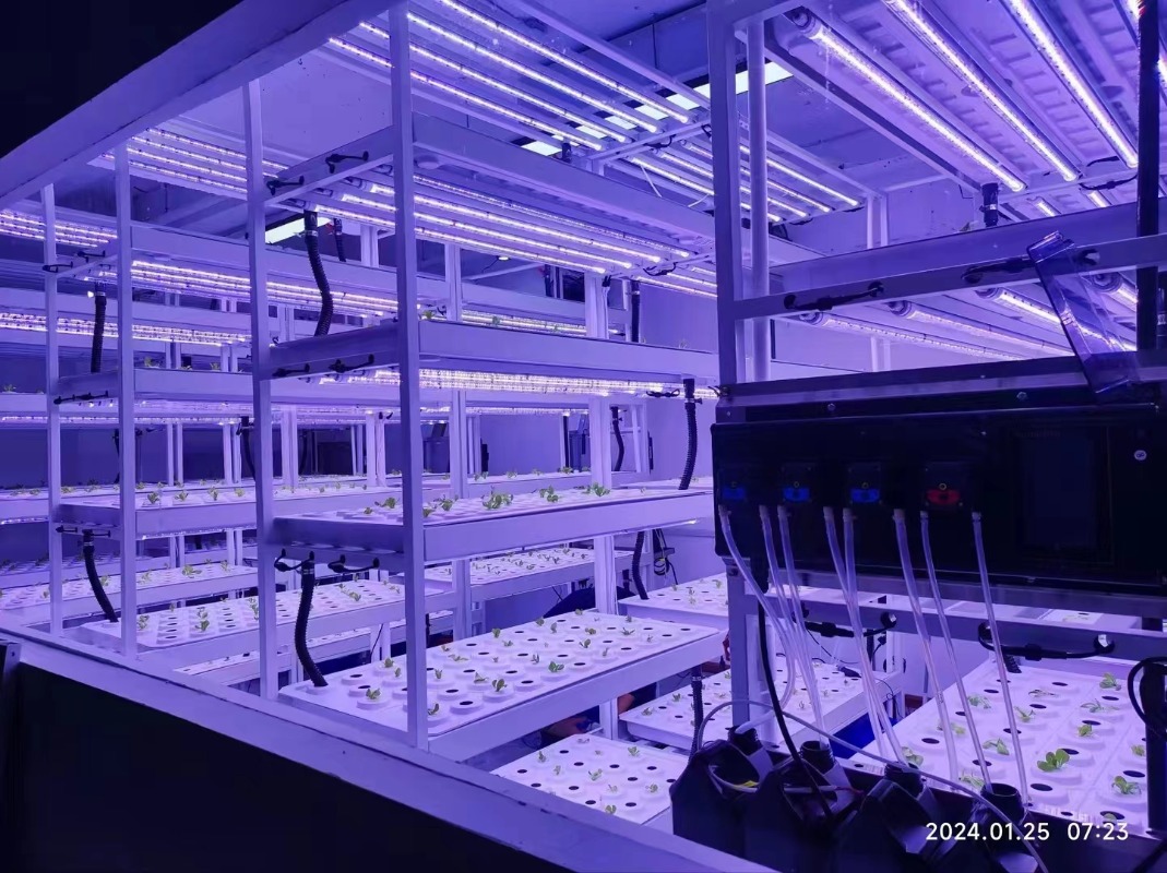 Système de Tour Hydroponique V - Agriculture Vertical Farming avis et prix