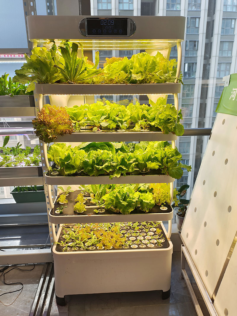 c Machine agricole pour cultiv - Agriculture Vertical Farming avis et prix