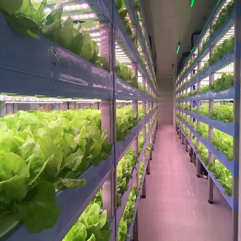 Serres agricoles personnalisée - Agriculture Vertical Farming avis et prix