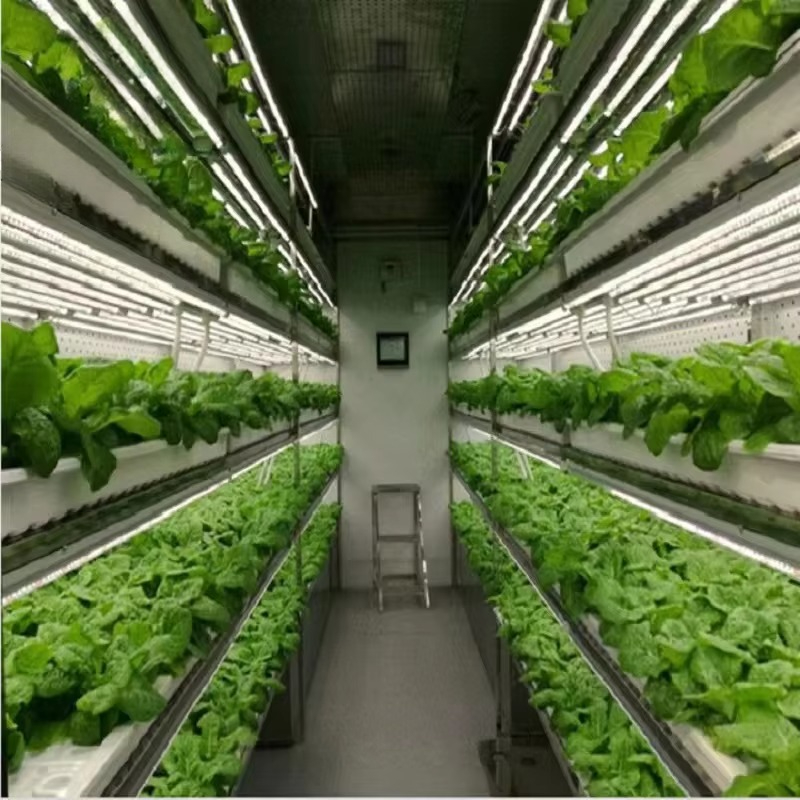 Serres agricoles personnalisée - Agriculture Vertical Farming avis et prix