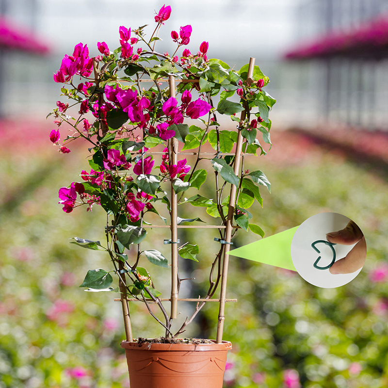 50/100 pièces Clips de jardina - Agriculture Vertical Farming avis et prix